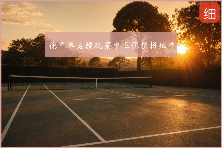 德甲单后腰观察中卫保护拼细节